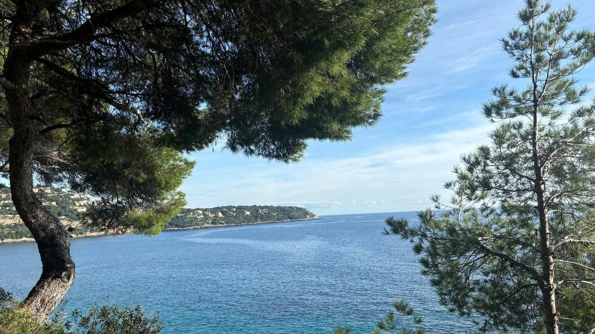 Belle Époque Palace Suites: Seaside Elegance in Menton Apartment